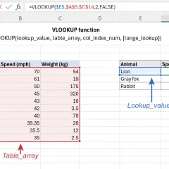 Arkusz kalkulacyjny z funkcją VLOOKUP. Wyszukaj pionowo dane zwierzęcia w tabeli.
