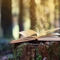 Otwarta księga na pniu w lesie, z której wylatują magiczne iskierki i kształty przypominające ptaki. To jak ewaluacja co to - podróż w głąb wiedzy.