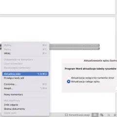 Aktualizacja spisu rysunków w Wordzie. Program oferuje opcję aktualizacji całego spisu lub tylko numerów stron.