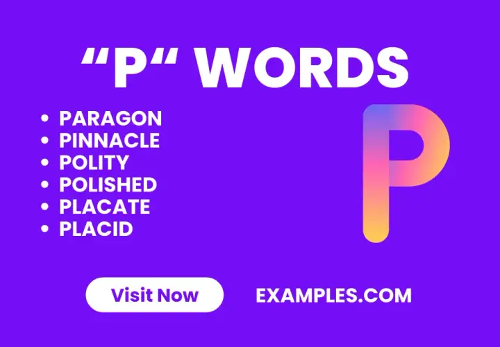 P word co to? Zrozumienie eufemizmu i jego społecznych skutków