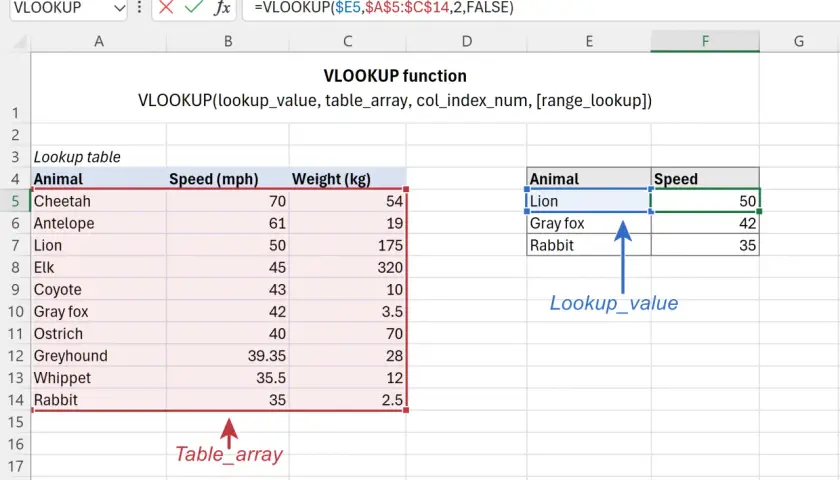Arkusz kalkulacyjny z funkcją VLOOKUP. Wyszukaj pionowo dane zwierzęcia w tabeli.