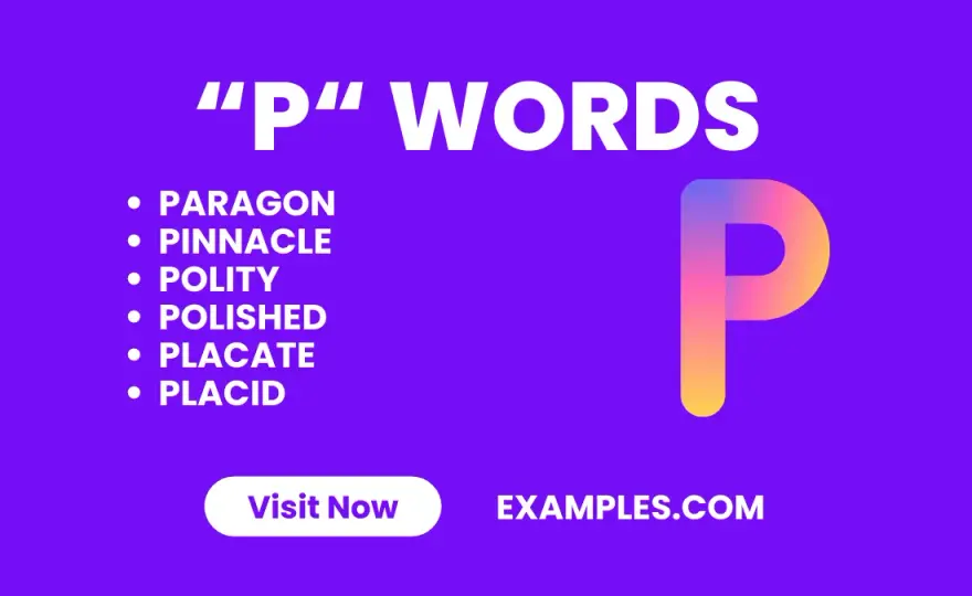 P word co to? Zrozumienie eufemizmu i jego społecznych skutków